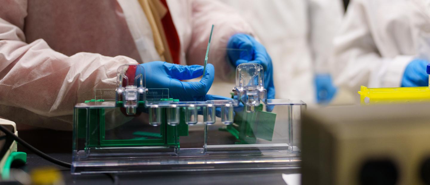 Test tubes in a lab